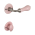 Poignée de porte intérieure sur rosace ronde en porcelaine rose avec rosaces de porte Condamnation, Coude laiton nickel mat, LIZON
