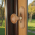 Bouton de fenêtre Bois Pin Vernis