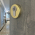 2 rosaces de poignée de porte rondes lisse Eileen trou de cylindre, Laiton poli