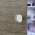 Bouton de porte et tiroir de meuble en transparent blanc de 32X32 mm, PROST