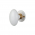 2 poignées de porte sur rosaces rondes OLIVE en porcelaine blanche – Embase laiton poli doré – Style classique chic